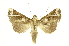  ( - INBIOCRI001376978)  @13 [ ] Copyright (2012) J. Montero INBio