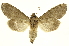  ( - INBIOCRI001407052)  @13 [ ] Copyright (2012) Juan Mata Lorenzen INBio