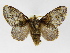  ( - INBIOCRI001615503)  @15 [ ] Copyright (2012) J. Montero Instituto Nacional de Biodiversidad