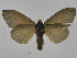  ( - INBIOCRI001616906)  @11 [ ] Copyright (2012) J. Montero Instituto Nacional de Biodiversidad