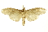  ( - INBIOCRI001618720)  @12 [ ] Copyright (2012) Juan Mata Lorenzen INBio