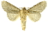  ( - INBIOCRI001619490)  @14 [ ] Copyright (2012) J. Montero INBio