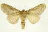  ( - INBIOCRI001619502)  @13 [ ] Copyright (2012) J. Montero INBio