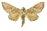  ( - INBIOCRI001624951)  @14 [ ] Copyright (2012) J. Montero INBio