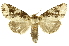  ( - INBIOCRI001626829)  @14 [ ] Copyright (2012) J. Montero INBio