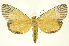  ( - INBIOCRI001631915)  @11 [ ] Copyright (2012) Juan Mata Lorenzen INBio