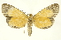  ( - INBIOCRI001631915)  @11 [ ] Copyright (2012) Juan Mata Lorenzen INBio