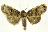  ( - INBIOCRI001632129)  @14 [ ] Copyright (2012) J. Montero INBio