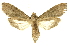  ( - INBIOCRI001636833)  @13 [ ] Copyright (2012) Juan Mata Lorenzen INBio