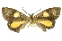  ( - INBIOCRI001640008)  @12 [ ] Copyright (2012) Juan Mata Lorenzen Unspecified