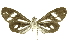  ( - INBIOCRI001640012)  @14 [ ] Copyright (2012) Juan Mata Lorenzen Unspecified