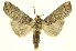  ( - INBIOCRI001662290)  @11 [ ] Copyright (2012) Juan Mata Lorenzen INBio