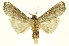  ( - INBIOCRI001662290)  @11 [ ] Copyright (2012) Juan Mata Lorenzen INBio