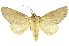  ( - INBIOCRI001662417)  @14 [ ] Copyright (2012) Juan Mata Lorenzen INBio