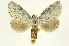  ( - INBIOCRI001665275)  @14 [ ] Copyright (2012) J. Montero INBio
