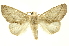  ( - INBIOCRI001700748)  @14 [ ] Copyright (2012) Juan Mata Lorenzen INBio