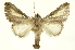  ( - INBIOCRI001706043)  @14 [ ] Copyright (2012) Juan Mata Lorenzen INBio