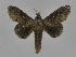  ( - INBIOCRI001716944)  @14 [ ] Copyright (2012) J. Montero Instituto Nacional de Biodiversidad