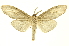  ( - INBIOCRI001727296)  @12 [ ] Copyright (2012) Juan Mata Lorenzen INBio