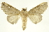  ( - INBIOCRI001782181)  @13 [ ] Copyright (2012) J. Montero INBio