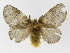  ( - INBIOCRI001819670)  @14 [ ] Copyright (2012) J. Montero Instituto Nacional de Biodiversidad