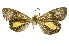  ( - INBIOCRI001828373)  @13 [ ] Copyright (2012) Juan Mata Lorenzen Unspecified