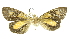  ( - INBIOCRI001828373)  @12 [ ] Copyright (2012) Juan Mata Lorenzen Unspecified