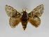  ( - INBIOCRI001828458)  @14 [ ] Copyright (2012) J. Montero Instituto Nacional de Biodiversidad