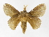  ( - INBIOCRI001839330)  @14 [ ] Copyright (2012) J. Montero Instituto Nacional de Biodiversidad