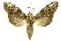  ( - INBIOCRI001839908)  @13 [ ] Copyright (2012) Juan Mata Lorenzen INBio