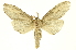  ( - INBIOCRI001845161)  @12 [ ] Copyright (2012) Juan Mata Lorenzen INBio