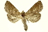  ( - INBIOCRI001845308)  @15 [ ] Copyright (2012) Juan Mata Lorenzen INBio