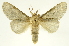  ( - INBIOCRI001849333)  @13 [ ] Copyright (2012) J. Montero INBio