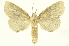  ( - INBIOCRI001849456)  @14 [ ] Copyright (2012) J. Montero INBio