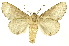  ( - INBIOCRI001855202)  @13 [ ] Copyright (2012) J. Montero INBio