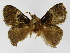  ( - INBIOCRI001875845)  @12 [ ] Copyright (2012) J. Montero Instituto Nacional de Biodiversidad