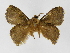  ( - INBIOCRI001875845)  @12 [ ] Copyright (2012) J. Montero Instituto Nacional de Biodiversidad