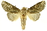  ( - INBIOCRI001875911)  @13 [ ] Copyright (2012) J. Montero INBio