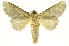  ( - INBIOCRI001875911)  @14 [ ] Copyright (2012) J. Montero INBio
