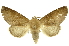  ( - INBIOCRI001888844)  @11 [ ] Copyright (2012) Juan Mata Lorenzen INBio