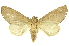  ( - INBIOCRI001888844)  @11 [ ] Copyright (2012) Juan Mata Lorenzen INBio