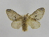  ( - INBIOCRI001902595)  @14 [ ] Copyright (2012) J. Montero Instituto Nacional de Biodiversidad