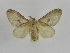  ( - INBIOCRI001902595)  @14 [ ] Copyright (2012) J. Montero Instituto Nacional de Biodiversidad