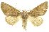  ( - INBIOCRI001914102)  @14 [ ] Copyright (2012) Juan Mata Lorenzen INBio