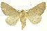  ( - INBIOCRI001914102)  @14 [ ] Copyright (2012) Juan Mata Lorenzen INBio