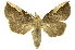  ( - INBIOCRI001924955)  @13 [ ] Copyright (2012) J. Montero INBio