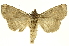  ( - INBIOCRI001937774)  @11 [ ] Copyright (2012) J. Montero INBio