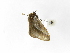  ( - INBIOCRI001955634)  @12 [ ] Copyright (2012) J. Montero Instituto Nacional de Biodiversidad