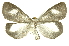  ( - INBIOCRI001961526)  @13 [ ] Copyright (2012) Juan Mata Lorenzen Unspecified