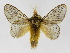  ( - INBIOCRI001962016)  @14 [ ] Copyright (2012) J. Montero Instituto Nacional de Biodiversidad